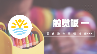 19.触觉板一-感官