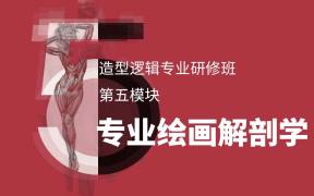 模块五：专业绘画解剖学