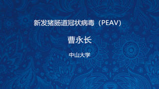 新发猪肠道冠状病毒（PEAV）