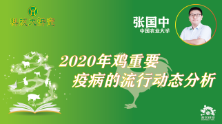 2020年鸡重要疫病的流行动态分析