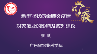 新型冠状病毒肺炎疫情对家禽业的影响及应对建议