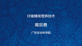 仔猪精准营养技术