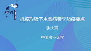 抗疫形势下水禽病春季防疫要点