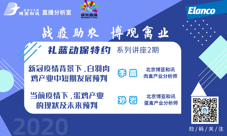 【博亚和讯】新冠疫情背景下的白羽肉鸡,蛋鸡产业分析与预判 礼蓝动保