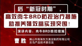 【澳龙直播】后”新冠时期“—高效肉牛BRD防控治疗措施助推养殖效益实现突围！