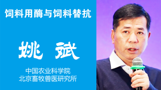 饲料用酶与抗生素替代