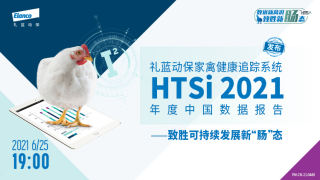 HTSi2021年度中国数据报告-致胜可持续发展新“肠”态