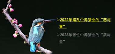 已更新-2023年韧性中养猪业的“质与量”-生猪年度分析与2023预测