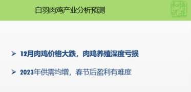 已更新-肉鸡养殖转入深度亏损-肉禽年度分析与2023预测