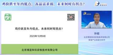 2023.10-鸡价跌至年内低点，冻品需求弱，未来何时有拐点？