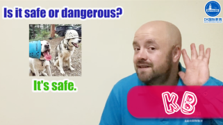 KB Lesson13 Safe and Danger