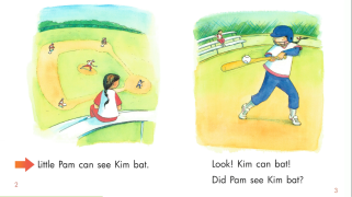 PreK Story - Pam at Bat