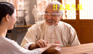 四象脉诊 第二期 什么是气脉