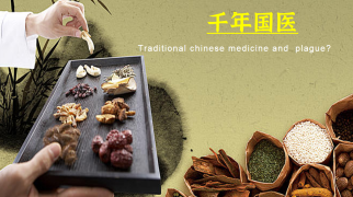 中医教育的扭曲暗含着中医药文化的消亡《千年国医》