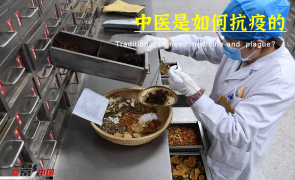中医是如何抗疫的？