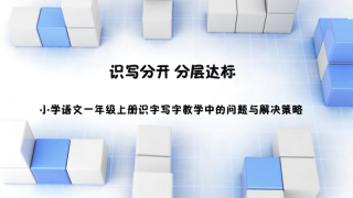 识写分开  分层达标  小学语文一年级上册识字写字教学中的问题与解决策略