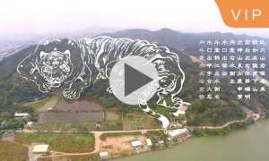 风水揭秘航拍名人首富李嘉诚祖坟风水，告诉您风水财富秘密
