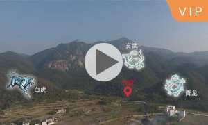 龙看入首，穴看到头，考察龙川胡氏宗祠及祖居地风水宝地