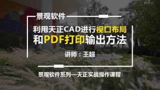 天正CAD视口布局及PDF打印