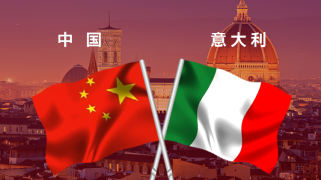 中意抗疫圈层交互平台