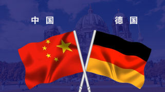 中德抗疫圈层交互平台