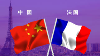 中法抗疫圈层交互平台