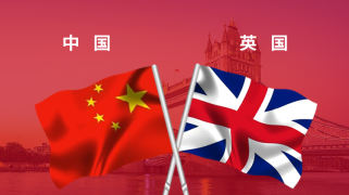 中英抗疫圈层交互平台
