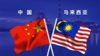 中马抗疫圈层交互平台