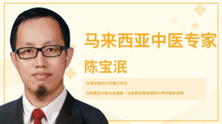 马来西亚专家组