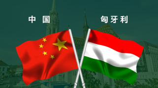 中匈抗疫圈层交互平台