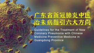 广东省新冠肺炎中医治未病指引六大方向