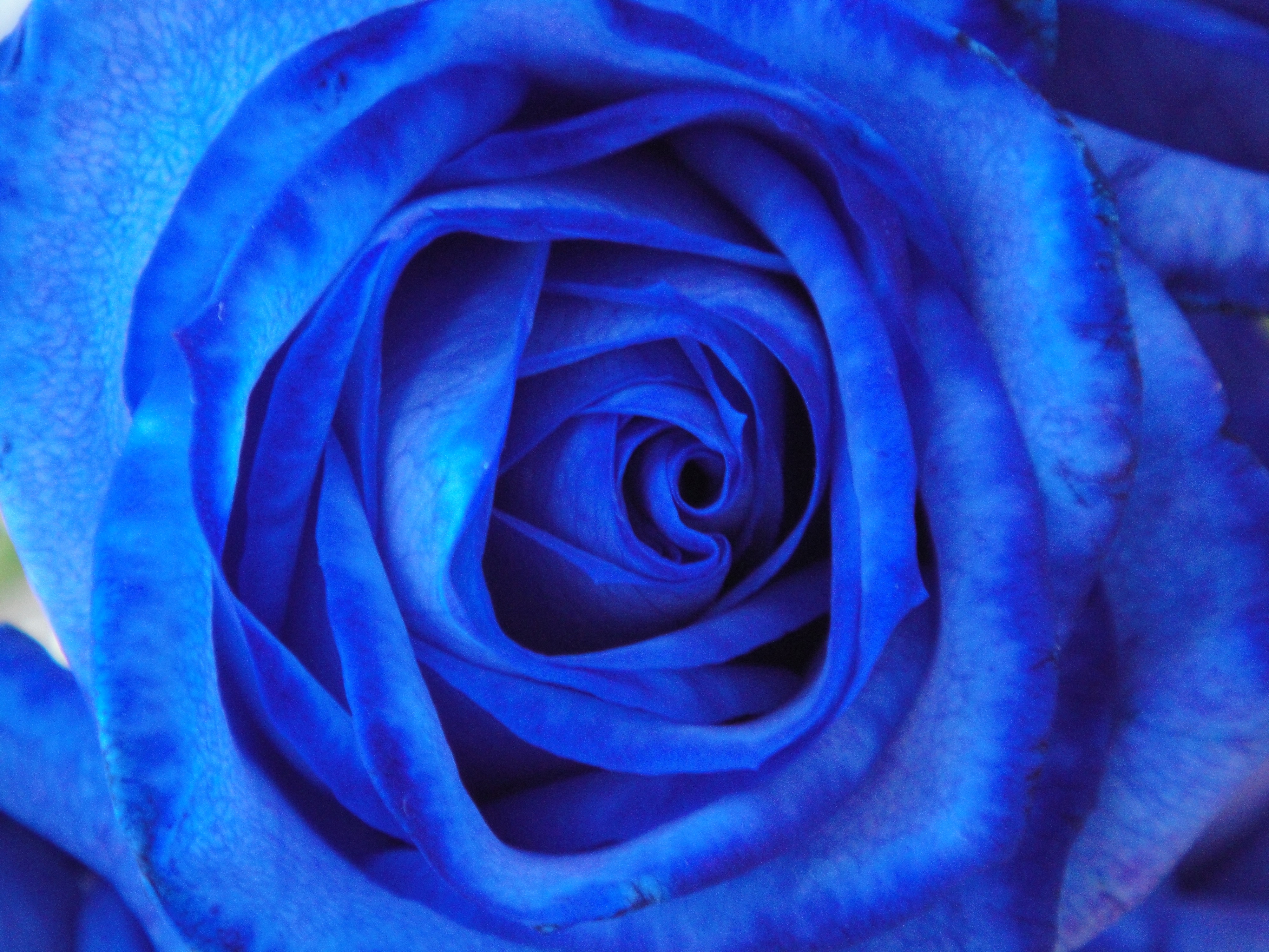 lessons/202311/d8726ec525e94045b96e88dc77a0392c.jpg DSC01302.jpg