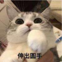 xiaonong