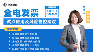 全电发票试点应用及风险管控建议